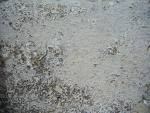 cement2thumb