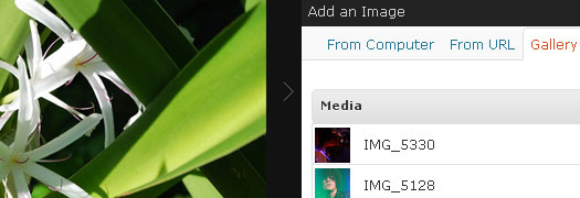 Galleria WordPress integration post image